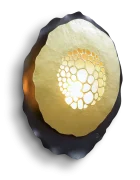 Rolin Gold back free