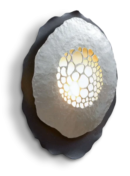 Rolin Silver back free